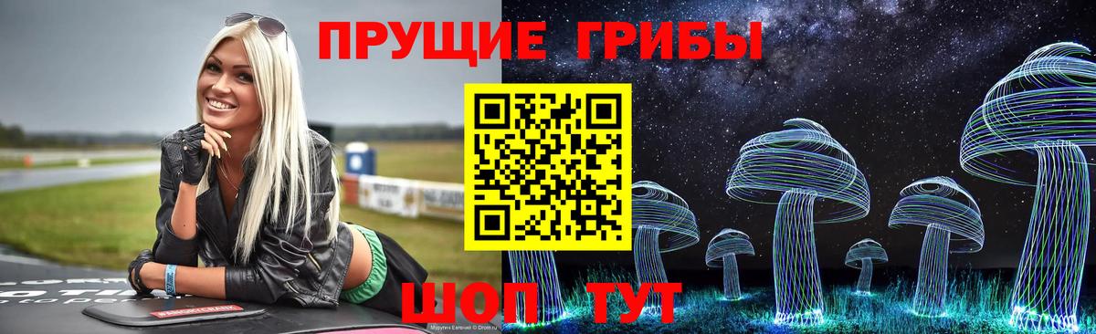 Псилоцибиновые грибы мицелий Зеленодольск